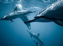 开云-HTH：把健康带回每一天的生活宣言